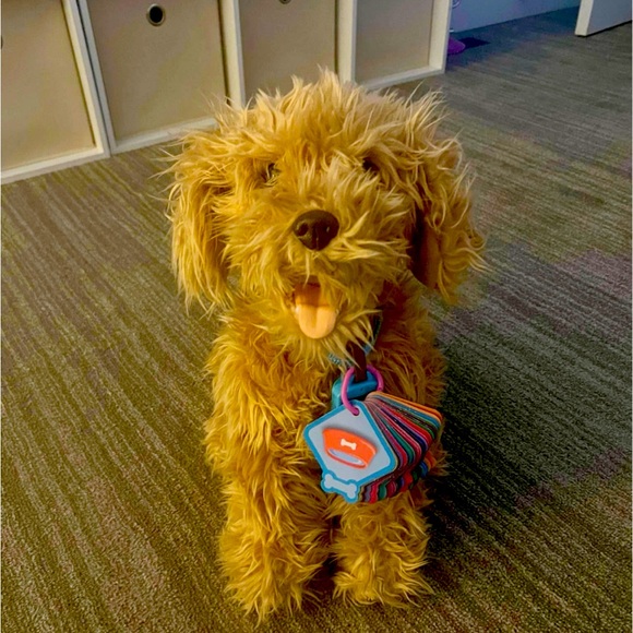 Moji Interactive Dog with Command Cards - Picture 1 of 8